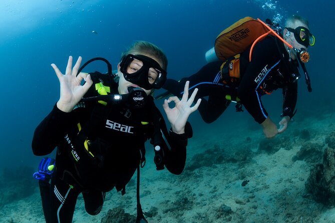 Muscat Diving Experience to Daymaniyat Islands - What to Expect During the Dive