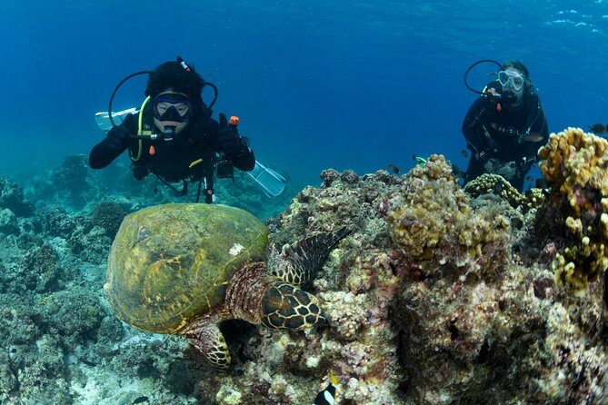 Muscat Diving Experience to Daymaniyat Islands - Safety Considerations