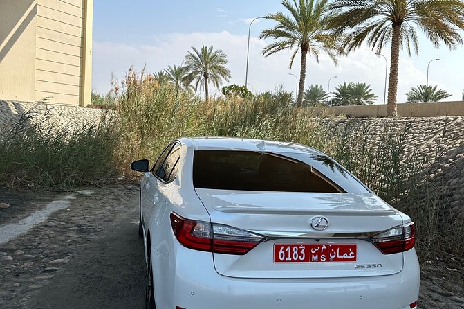 Muscat : Private Full-Day Luxury Tour Inside - Reviews and Ratings