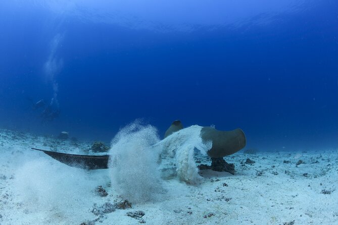 Muscat Scuba Diving Trip to Daymaniyat Islands - Experiencing the Scuba Diving Thrill