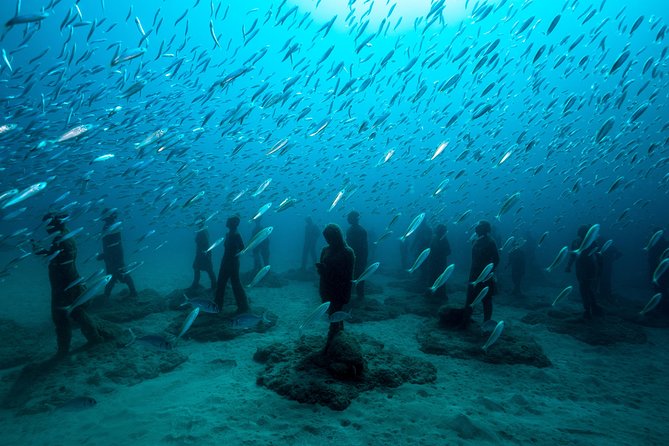 Museo Atlantico for Non-Certified Divers - Positive Reviews and Ratings