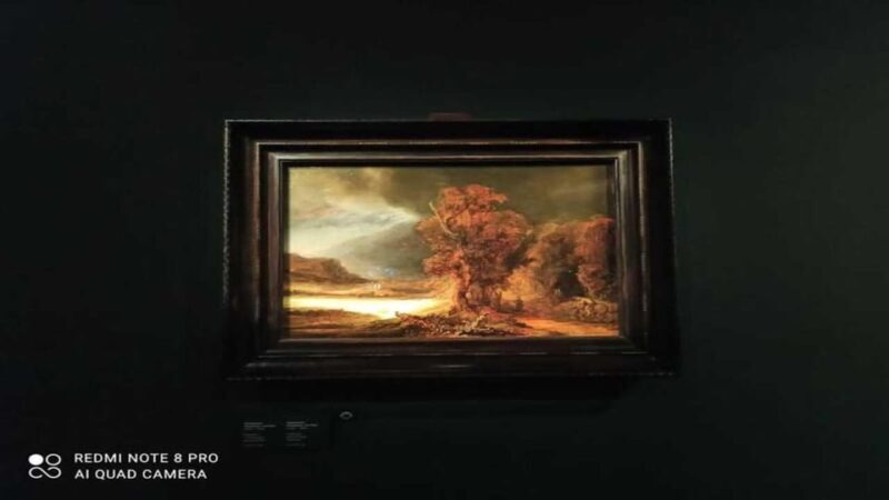 Museo Czartoryski: Visita in italiano e salta la fila. - What to Expect from the Tour
