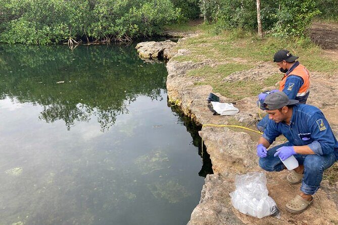 Museum for Coral Preservation with Chankanaab Park and OTOCH - Final Thoughts: Is This Tour Right for You?
