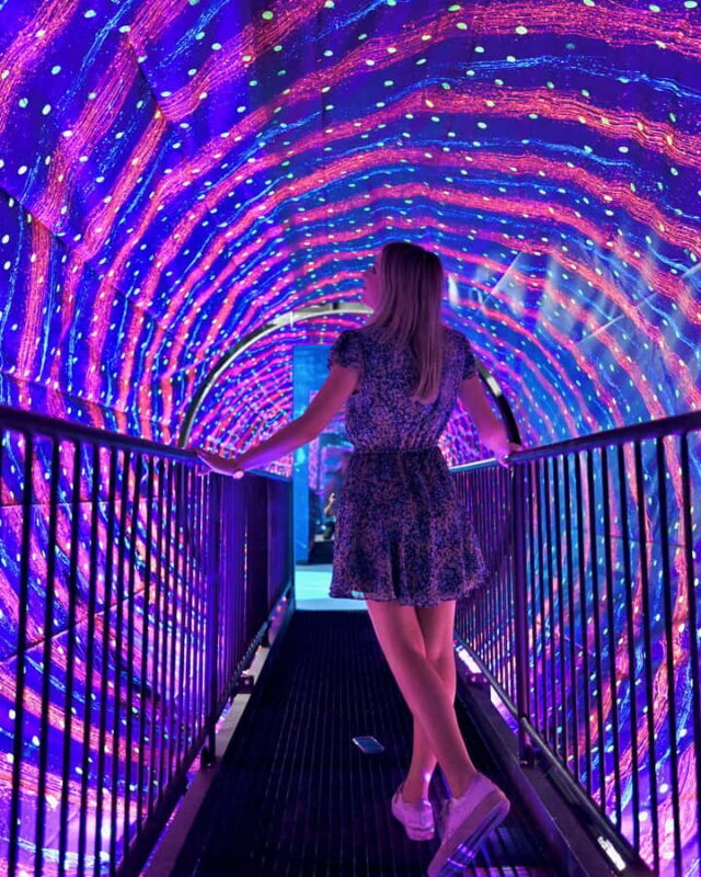 Museum of Illusions Entry Ticket - Practical Information and Tips