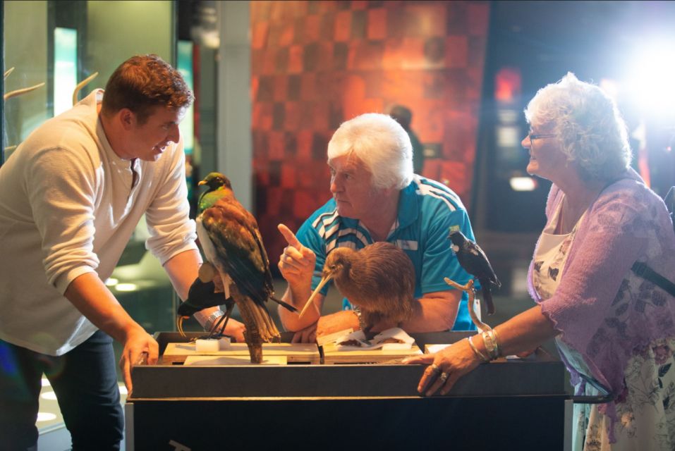 Museum of New Zealand Te Papa Tongarewa Guided Tour - Customer Reviews