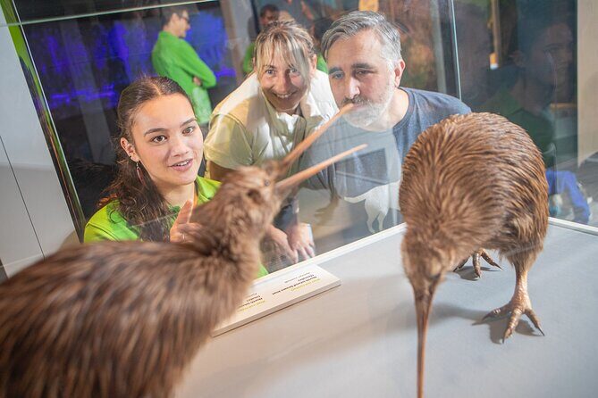 Museum of NZ Te Papa Tongarewa: International Visitor Entry - An Inviting Introduction to Wellington’s Crown Jewel