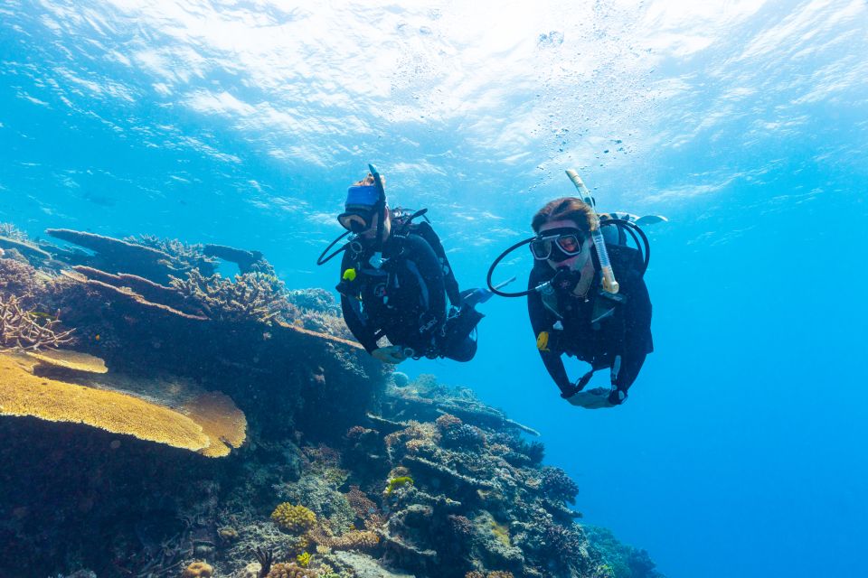 Museum Of Underwater Art & Great Barrier Reef Day Trip - Key Points