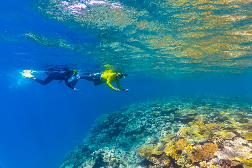Museum Of Underwater Art & Great Barrier Reef Day Trip - Booking Details