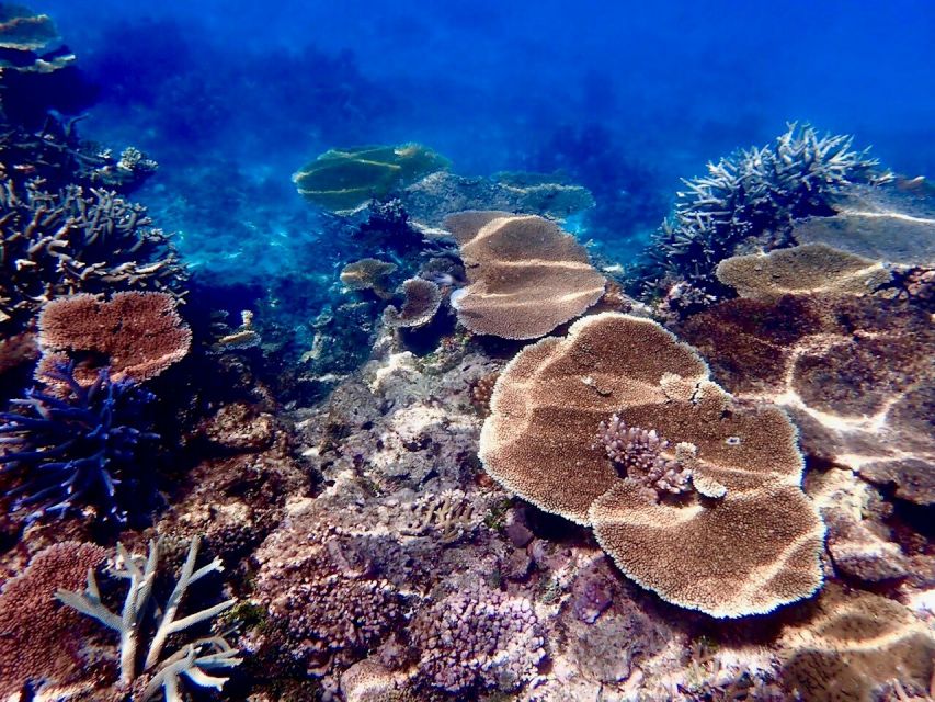 Museum Of Underwater Art & Great Barrier Reef Day Trip - Inclusions