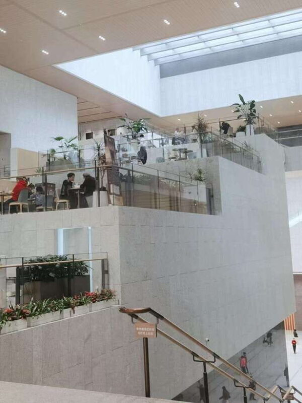 Museum Trip: Shanghai Museum/Shanghai History Museum - A Close Look at the Tour Experience
