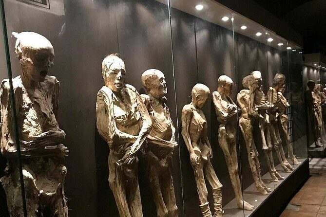 Museums and Mines of Guanajuato Private Tour - Why Choose the Guanajuato Museums and Mines Private Tour?