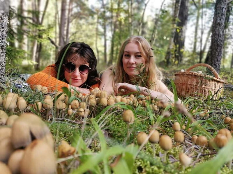 Mushroom picking in the forests near Riga - Authentic and Memorable