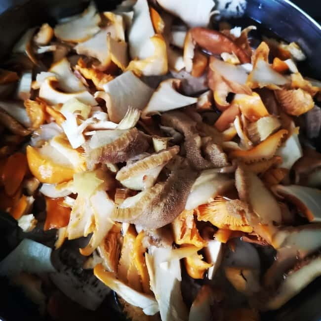 Mushroom picking in the forests near Riga - Who Should Consider This Tour?