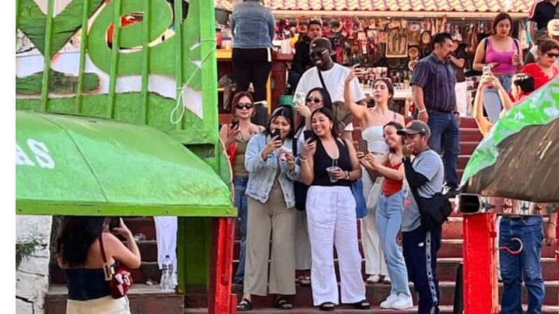 Music and Tequila in Xochimilco, plus a visit to Coyoacán and CU - The Realities: What Reviewers Say