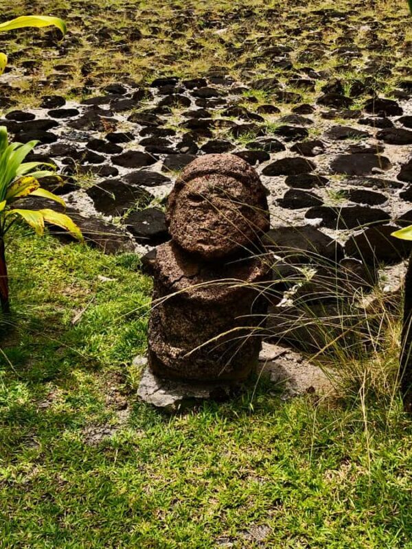 Must-Do : Nature, Culture & Moments Uniques  MirimirI Tours - Transport, Timing, and Practicalities