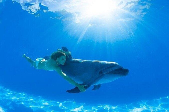 Must-DO The only and Unique Natural Space Dolphin Encounter Cabo - Authenticity and Reviews