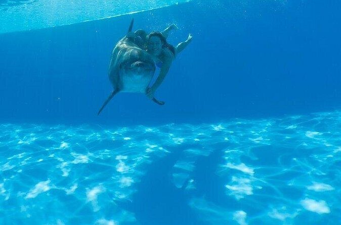 Must-DO The only and Unique Natural Space Dolphin Encounter Cabo - Who Should Consider This Tour?