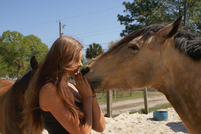 Mustang Rescue & Care Center Review - Accessibility and Participation