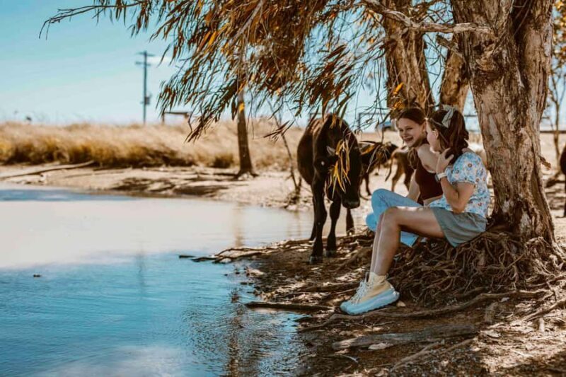 Mutchilba: Farm Animal Feeding - FAQ