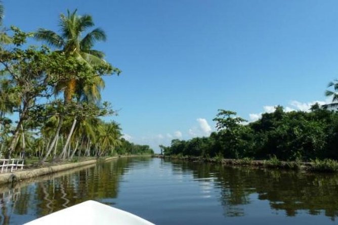 Muthurajawela Bird Watching Tour - Key Points