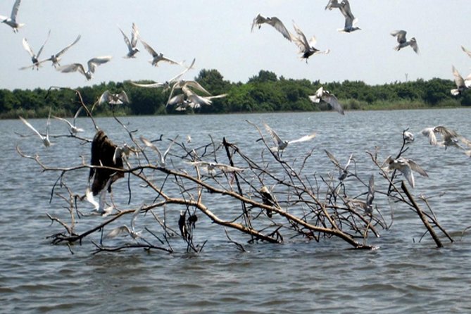 Muthurajawela Bird Watching Tour - Booking and Contact Information