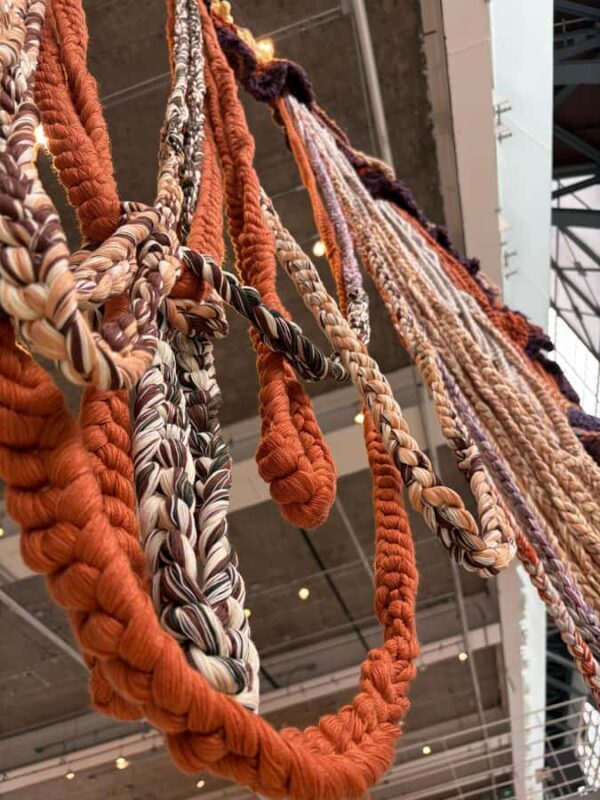 MX: Vasconcelos Library & Santa María la Ribera Neighborhood - Introduction