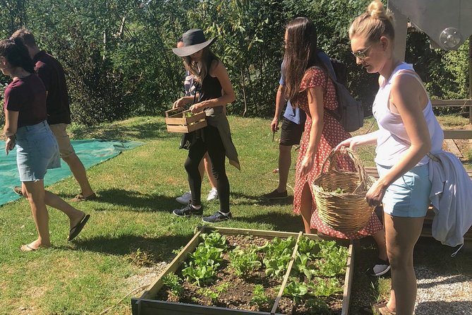 My Farm Experience Review: A Day in Tuscany - Key Points