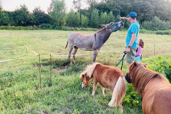 My Farm Experience Review: A Day in Tuscany - Feedback and Reviews