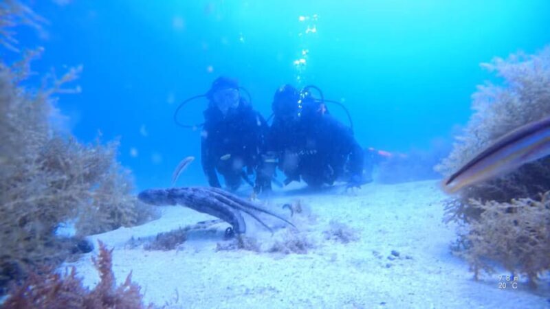 My first scuba dive in the Ocean from Madeira - What Makes This Tour Special