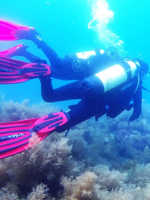 My first scuba dive into the Ocean from Sao Miguel - An In-Depth Look at the Experience