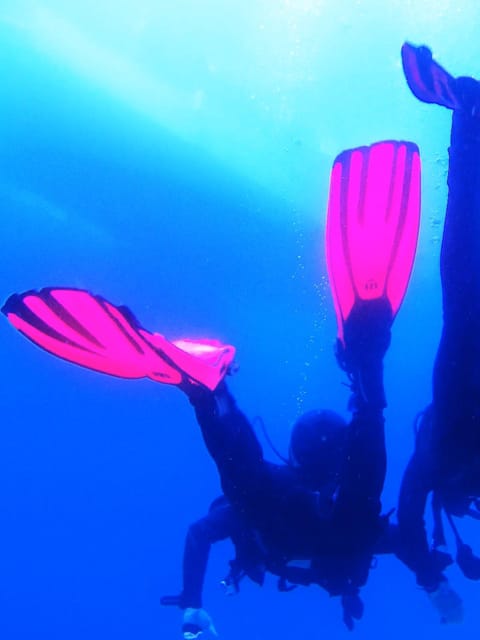 My first scuba dive into the Ocean from Sao Miguel - Who Will Love This Tour?