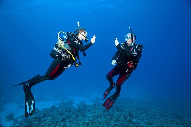My First Scuba Experience in the Ocean - Key Points