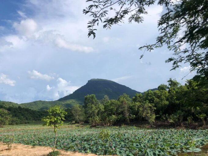My Son & Marble Mountains by Private Car From Hoi An/Da Nang - Activities and Exploration