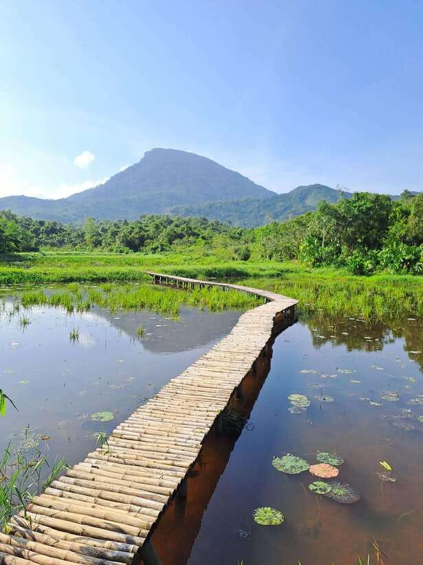 My Son Sanctuary and Marble Mountains Trip- Early Morning - Transport and Journey