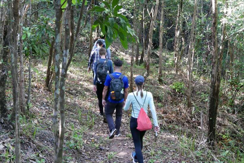 My Son Sanctuary and Mountain Trekking - Pilgrimage - Wildlife Encounters and Scenic Views
