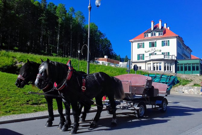 My*Guide the Kings GREATEST PALACES Neuschwanstein & HERRENCHIEMSEE From Munich - Accessibility Features