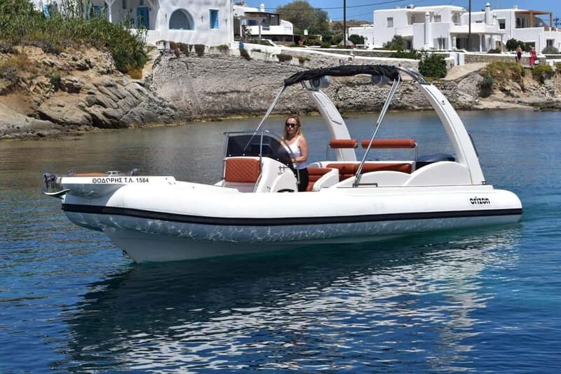 Mykonos: 3 hour Private Boat Cruise to South Coast Beaches - Introduction