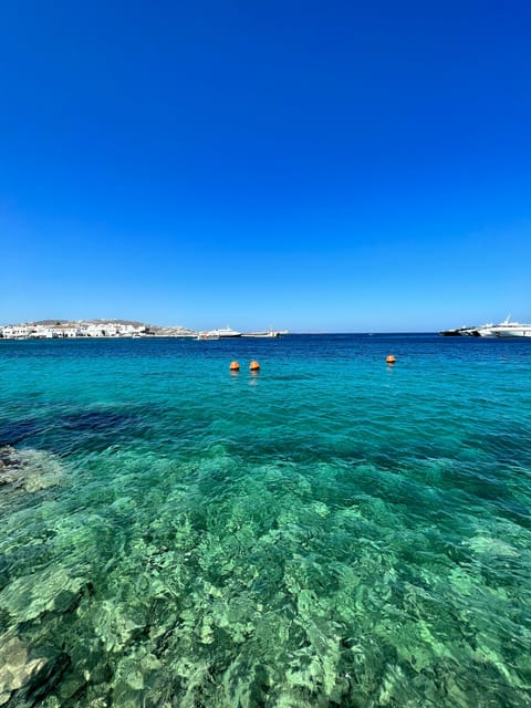 Mykonos: Beach Hopping Tour by Van - Why Choose the Mykonos Beach Hopping Tour?