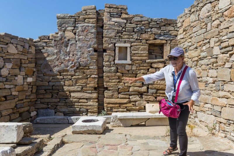 Mykonos: Best of Mykonos Private Tour - Itinerary Highlights