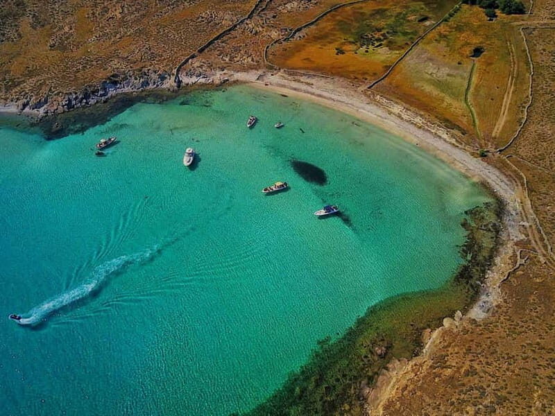 Mykonos: Delos and Rhenia Land Cruise with Fruit and Snacks - Who This Cruise Is Best For