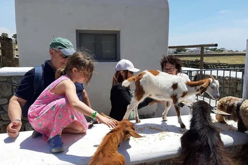 Mykonos Family Jeep Adventure: Farm, Winery and Beach Fun - Key Points