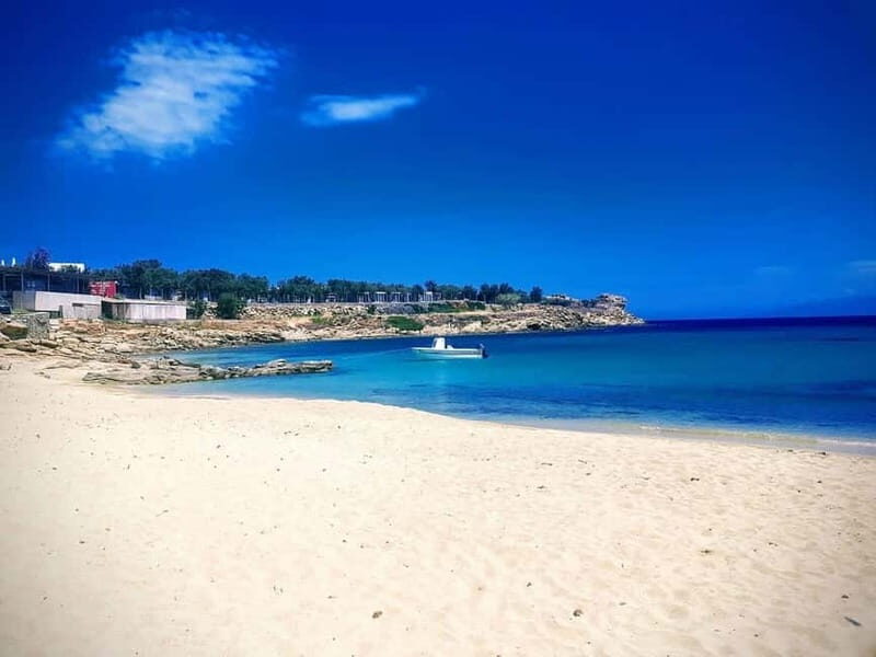 Mykonos Family Jeep Adventure: Farm, Winery and Beach Fun - Who Will Love This Tour?