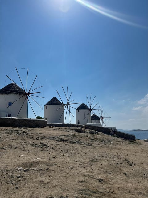 Mykonos: Guided Highlights Tour - Why Choose the Mykonos Highlights Tour?