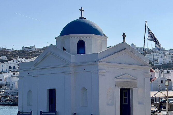 Mykonos Half Day Private Shore Excursion - What the Reviews Say