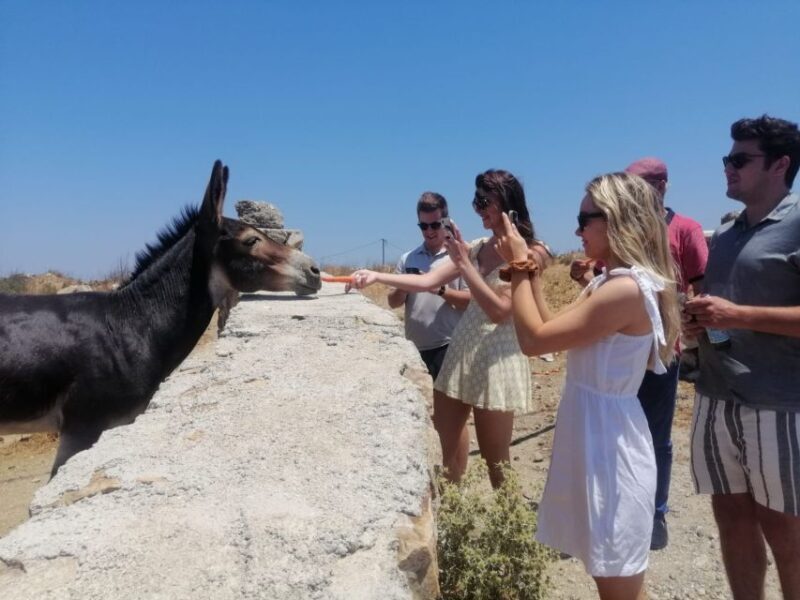 Mykonos: Highlights Tour with Panagia Tourliani Monastery - Who Will Love This Tour?