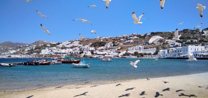 Mykonos: Highlights Tour with Panagia Tourliani Monastery - FAQs
