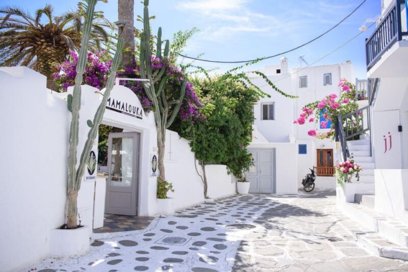 Mykonos: Mykonos Island Private Tour - Included Services