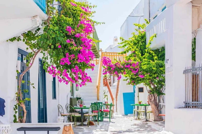 Mykonos Private 4 Hours Van & Walk - Free Port Pick-up - Who Will Enjoy This Tour?