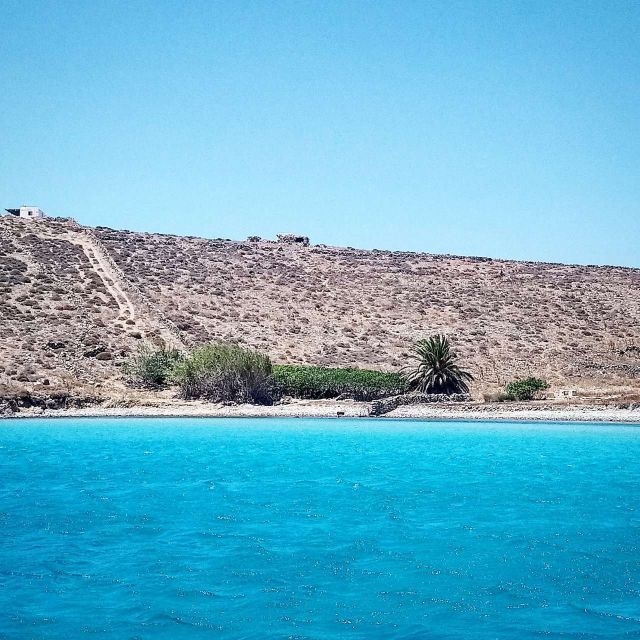 Mykonos: Private Delos and Rhenia 6hrs Cruise With Lunch - Itinerary and Highlights