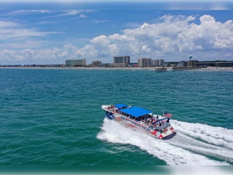 Myrtle Beach: Dolphin Cruise on the Sea Thunder - What to Expect from the Myrtle Beach Dolphin Cruise